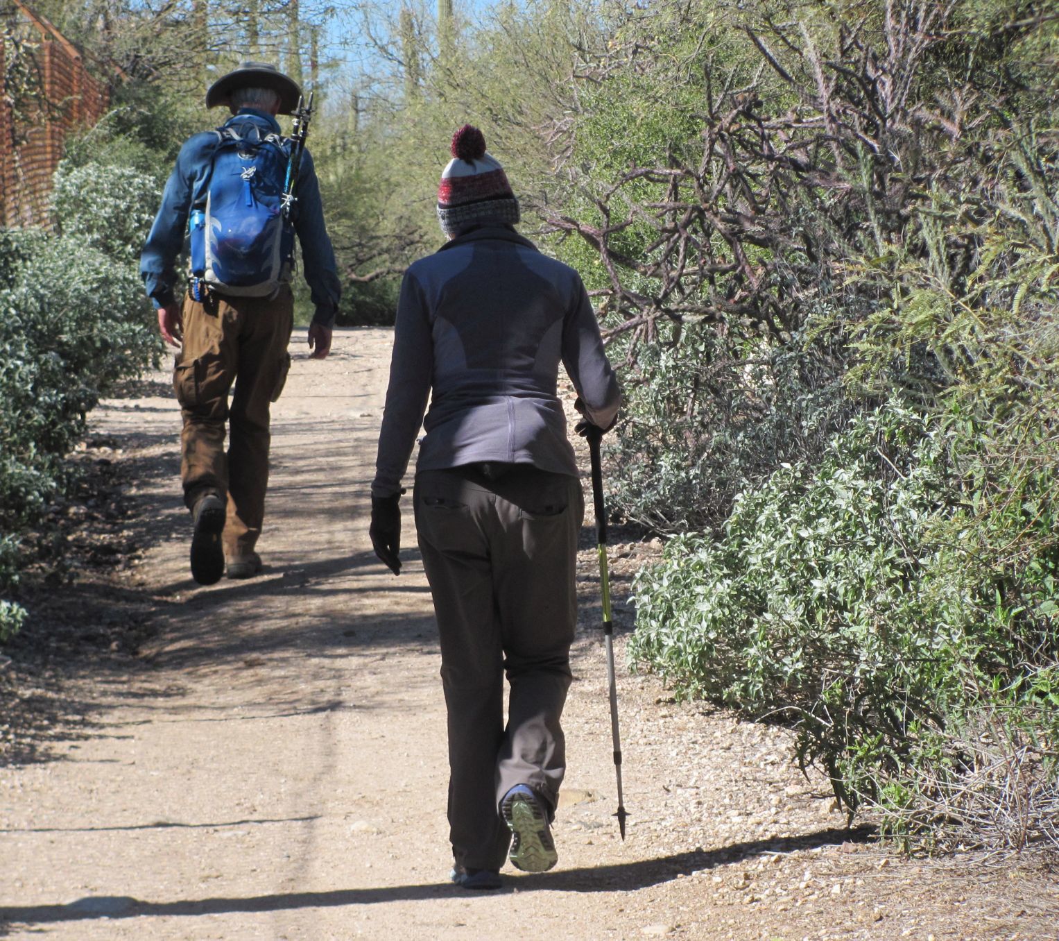 Hikers